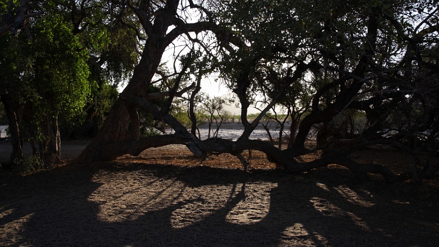 Premier bivouac en terrain sauvage, au bord de la Hoarusib river